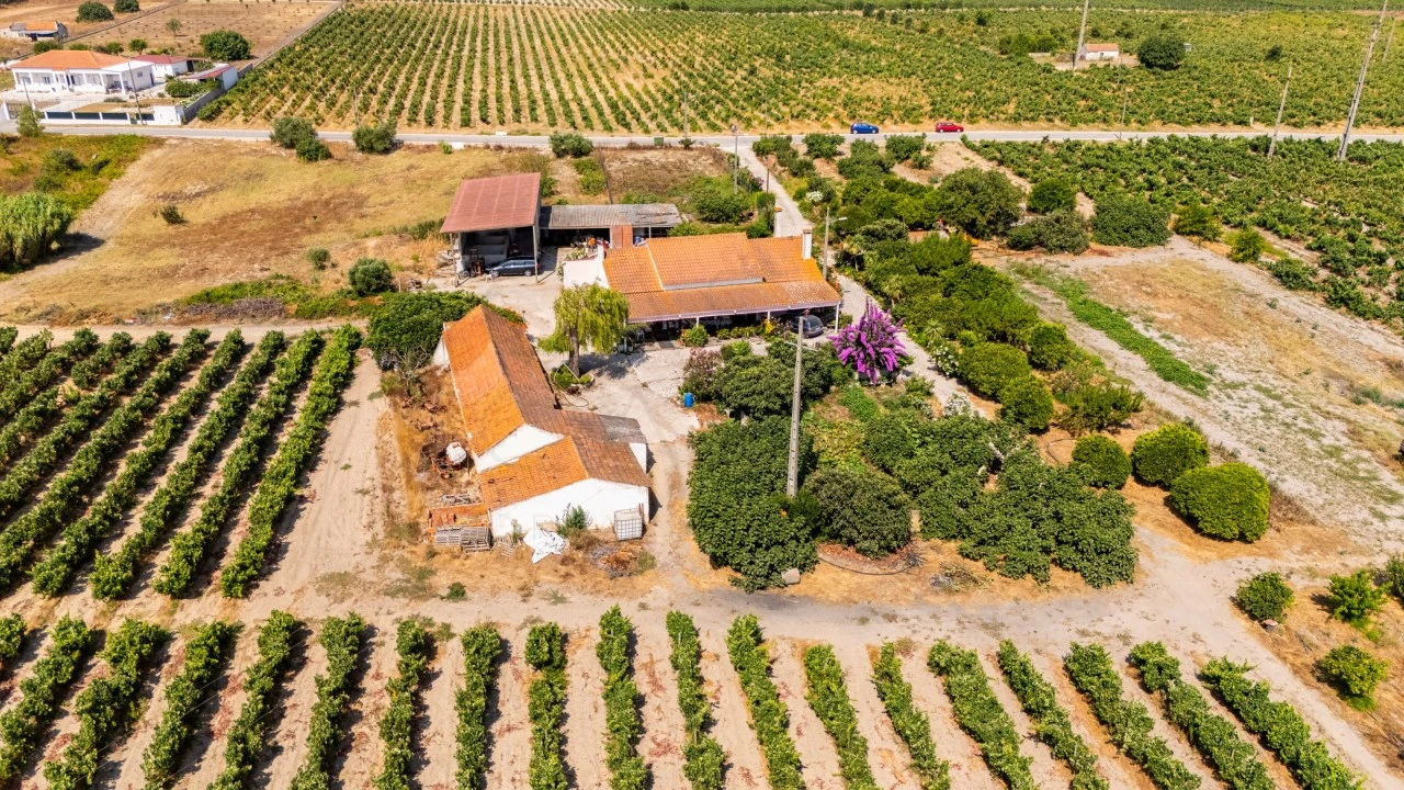 Quinta T3 para Venda em Poceirão e Marateca Foto 1