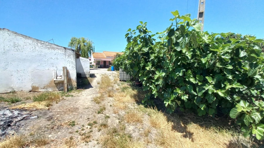 Quinta T3 para Venda em Poceirão e Marateca Foto 6