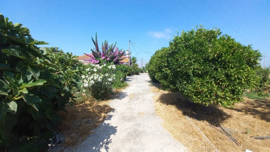 Quinta T3 para Venda em Poceirão e Marateca Foto 9