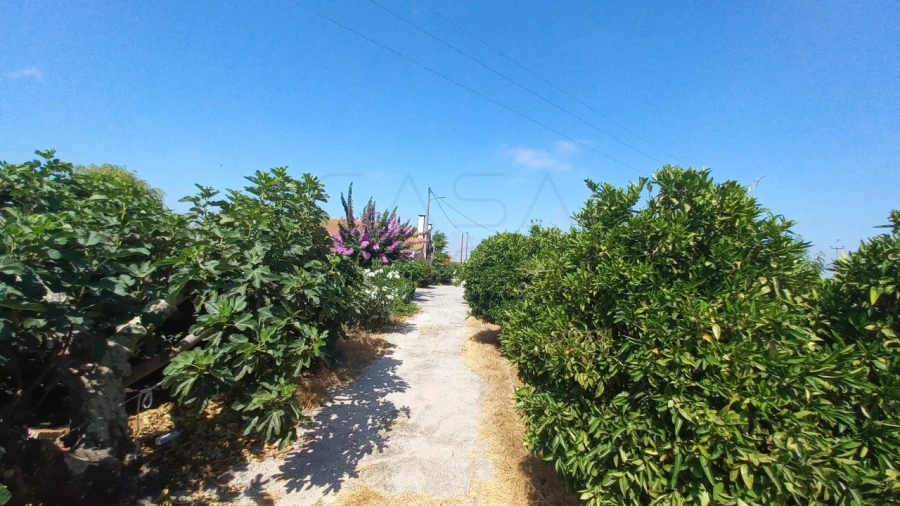 Quinta T3 para Venda em Poceirão e Marateca Foto 10