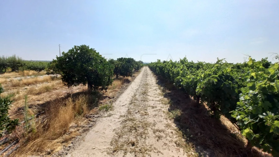 Quinta T3 para Venda em Poceirão e Marateca Foto 11