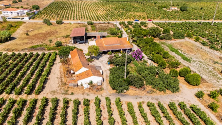 Quinta T3 para Venda em Poceirão e Marateca