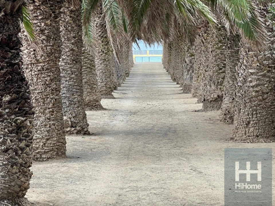 Moradia T2 para Venda em Porto Santo Foto 30