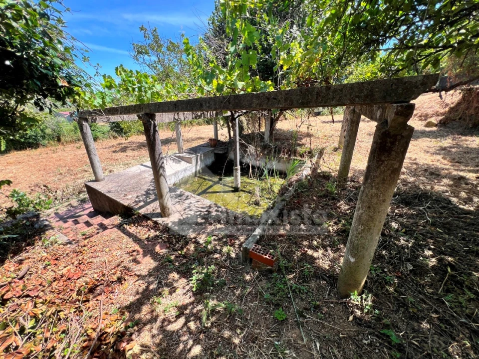 Moradia T3 para Venda em Figueiró dos Vinhos e Bairradas Foto 5