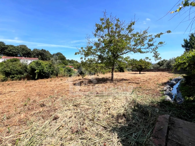 Moradia T3 para Venda em Figueiró dos Vinhos e Bairradas Foto 8