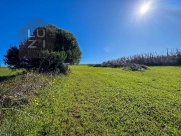 Terreno Agricola ou Rústico para Venda em Vila do Bispo e Raposeira