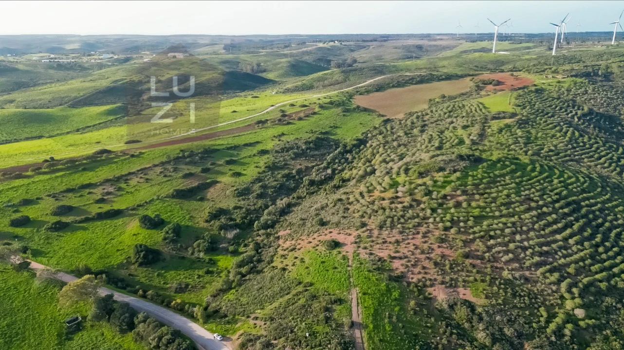 Terreno Agricola ou Rústico para Venda em Vila do Bispo e Raposeira Foto 10