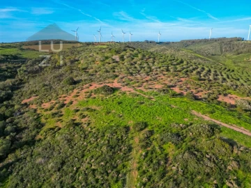 Terreno Agricola ou Rústico para Venda em Vila do Bispo e Raposeira
