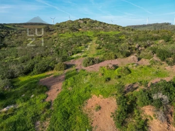 Terreno Agricola ou Rústico para Venda em Vila do Bispo e Raposeira