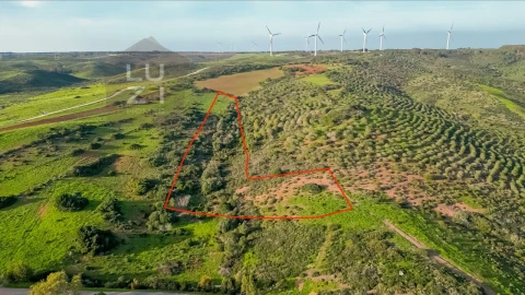 Terreno Agricola ou Rústico para Venda em Vila do Bispo e Raposeira