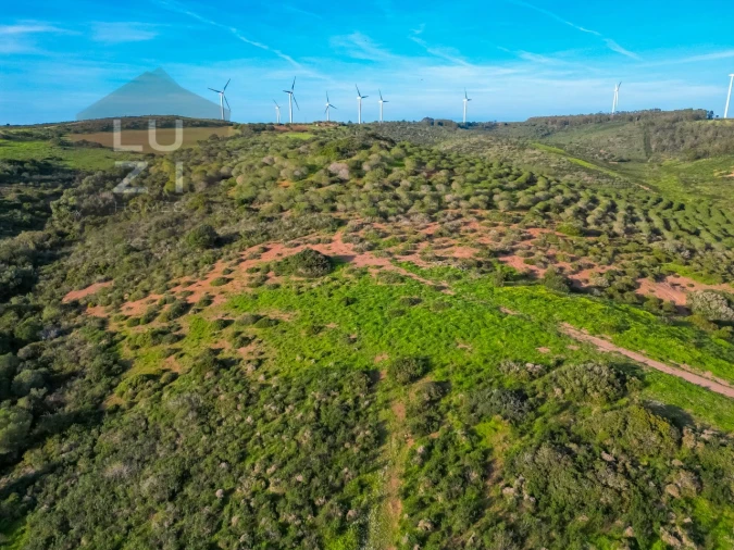 Terreno Agricola ou Rústico para Venda em Vila do Bispo e Raposeira Foto 12