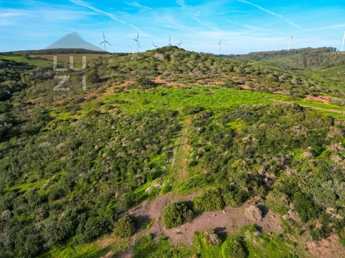 Terreno Agricola ou Rústico para Venda em Vila do Bispo e Raposeira Foto 14