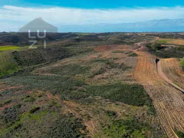 Terreno Agricola ou Rústico para Venda em Vila do Bispo e Raposeira