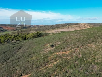 Terreno Agricola ou Rústico para Venda em Vila do Bispo e Raposeira