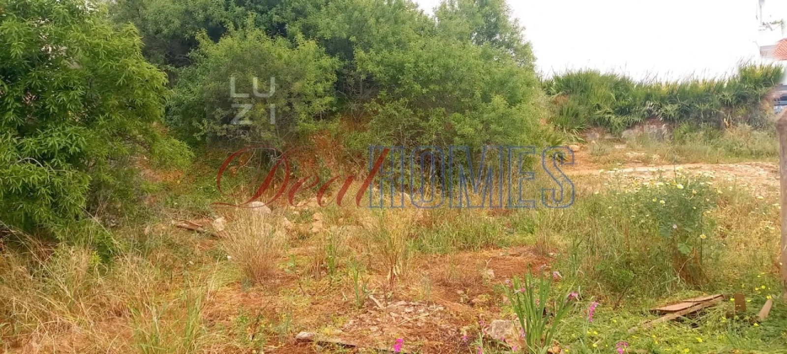 Terreno para Venda em Mexilhoeira Grande Foto 4