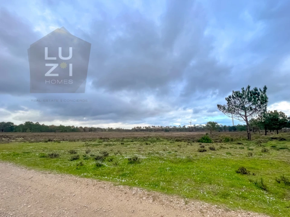 Terreno Agricola ou Rústico para Venda em Vila do Bispo e Raposeira Foto 3