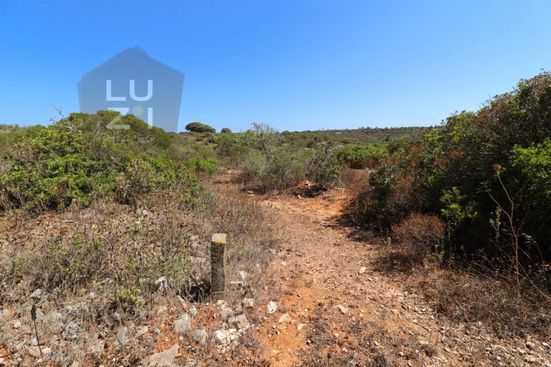 Terreno Agricola ou Rústico para Venda em Barão de São Miguel Foto 4