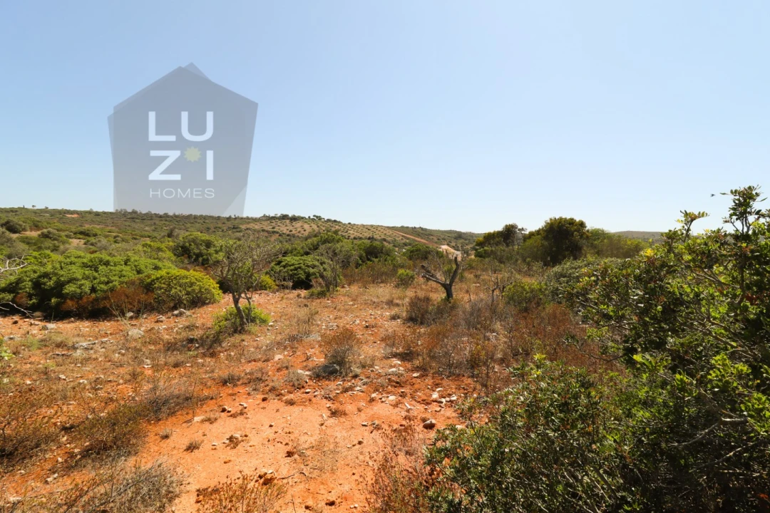 Terreno Agricola ou Rústico para Venda em Barão de São Miguel Foto 12