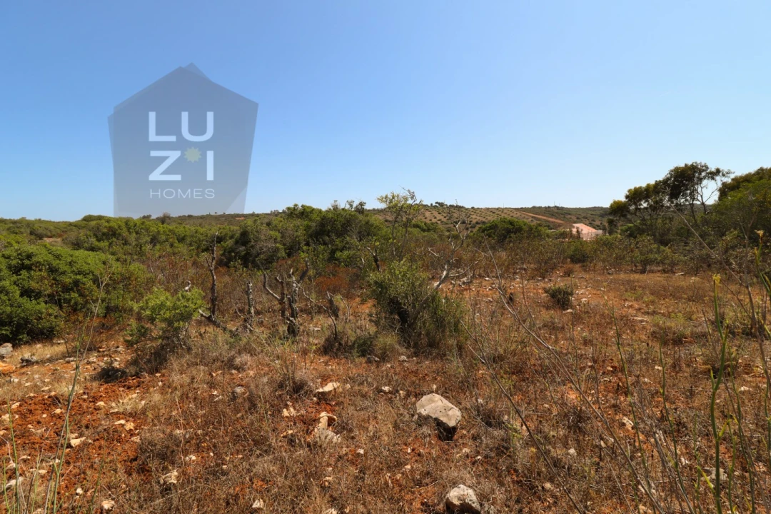 Terreno Agricola ou Rústico para Venda em Barão de São Miguel Foto 14