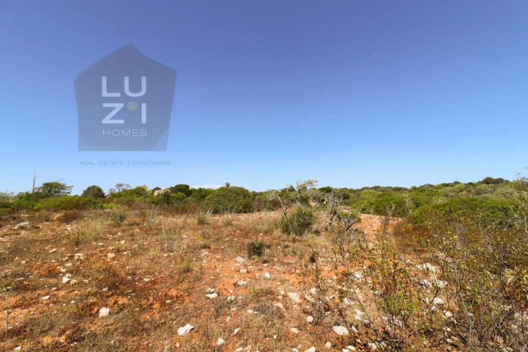 Terreno Agricola ou Rústico para Venda em Barão de São Miguel Foto 16