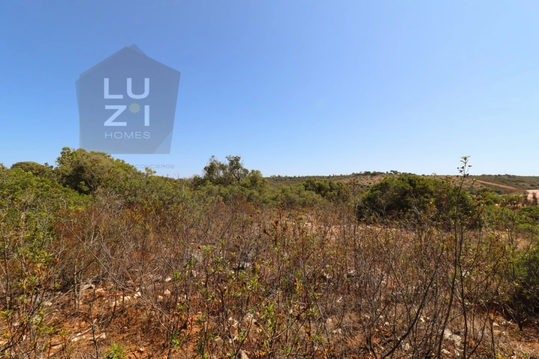 Terreno Agricola ou Rústico para Venda em Barão de São Miguel Foto 18