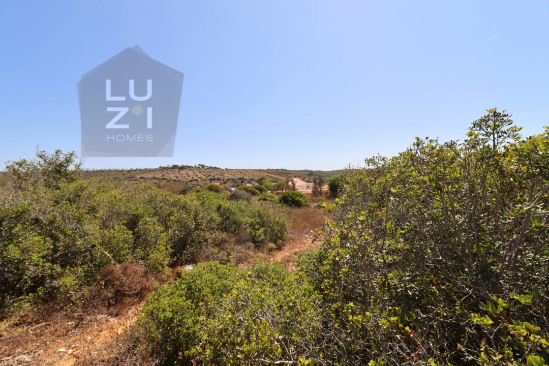 Terreno Agricola ou Rústico para Venda em Barão de São Miguel Foto 21