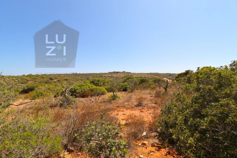 Terreno Agricola ou Rústico para Venda em Barão de São Miguel Foto 5