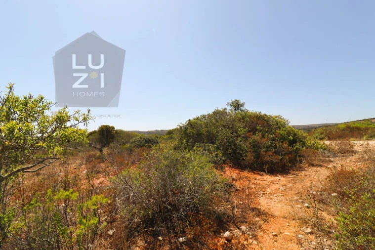 Terreno Agricola ou Rústico para Venda em Barão de São Miguel Foto 7