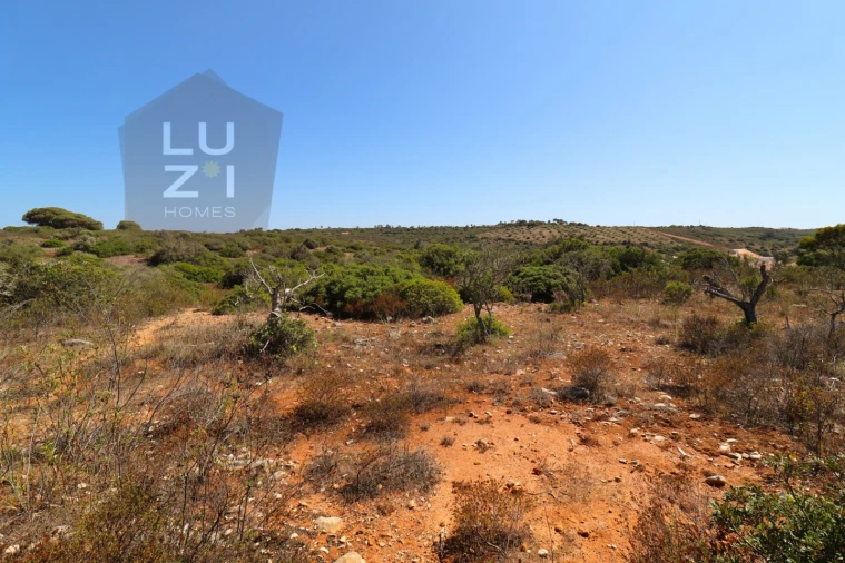 Terreno Agricola ou Rústico para Venda em Barão de São Miguel Foto 10