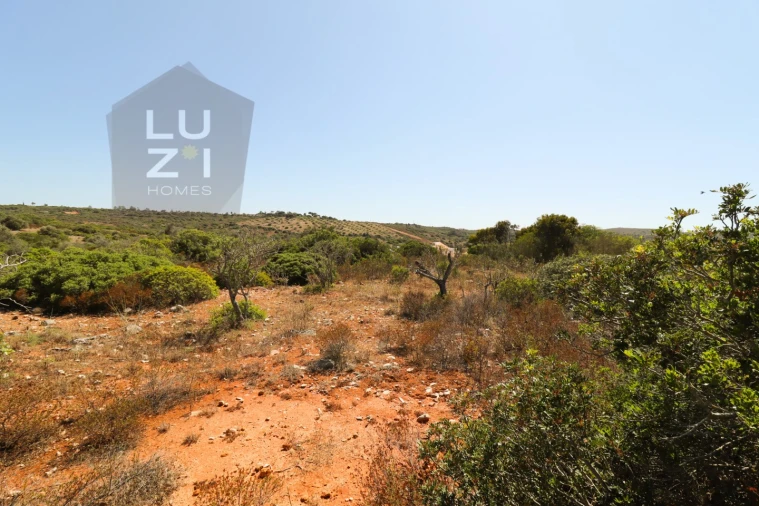 Terreno Agricola ou Rústico para Venda em Barão de São Miguel Foto 12