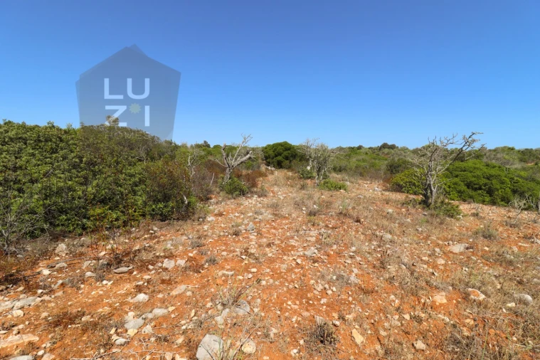 Terreno Agricola ou Rústico para Venda em Barão de São Miguel Foto 13