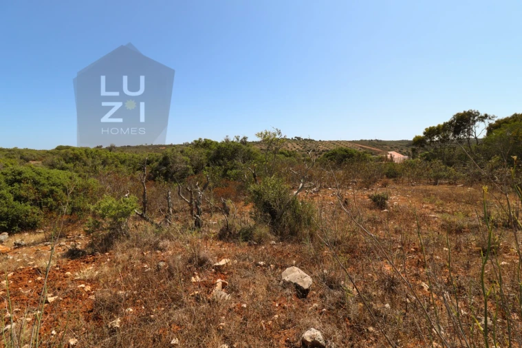 Terreno Agricola ou Rústico para Venda em Barão de São Miguel Foto 14