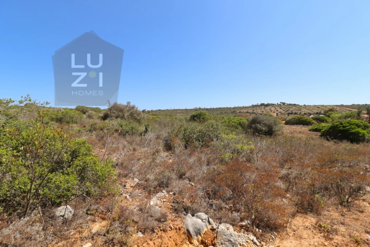 Terreno Agricola ou Rústico para Venda em Barão de São Miguel Foto 23