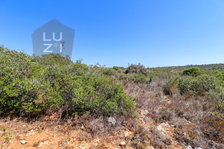 Terreno Agricola ou Rústico para Venda em Barão de São Miguel Foto 24