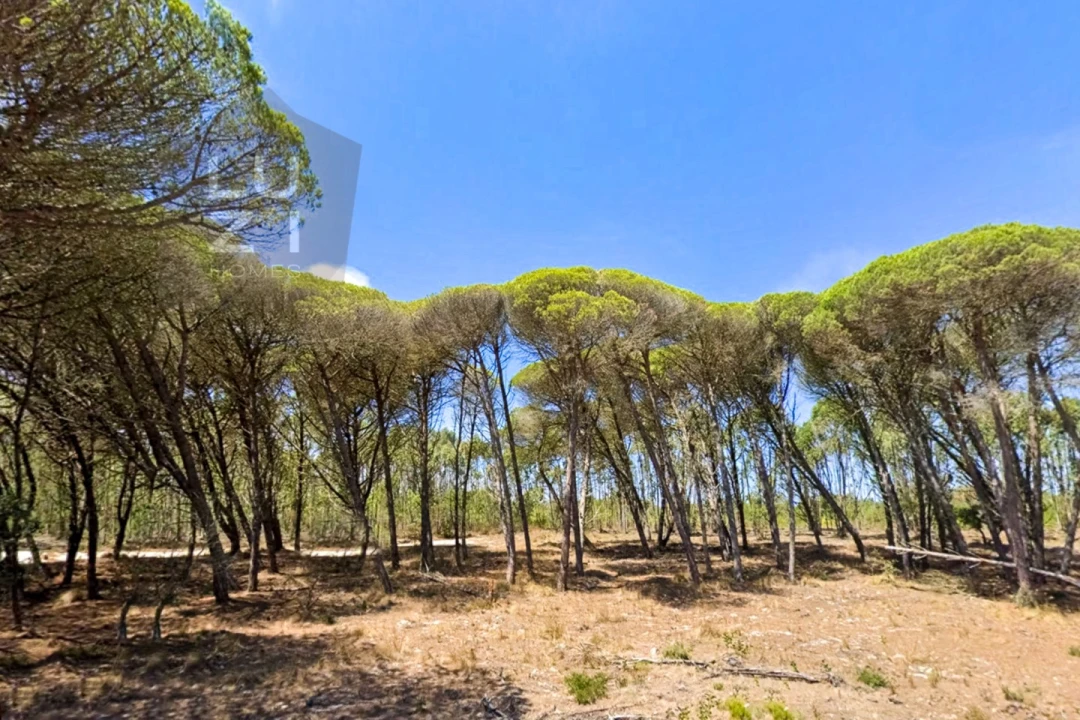 Terreno Agricola ou Rústico para Venda em Vila do Bispo e Raposeira Foto 1