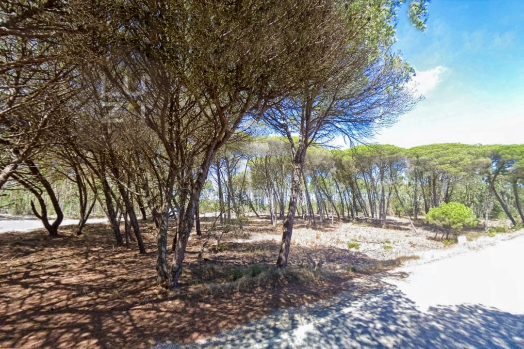 Terreno Agricola ou Rústico para Venda em Vila do Bispo e Raposeira Foto 2
