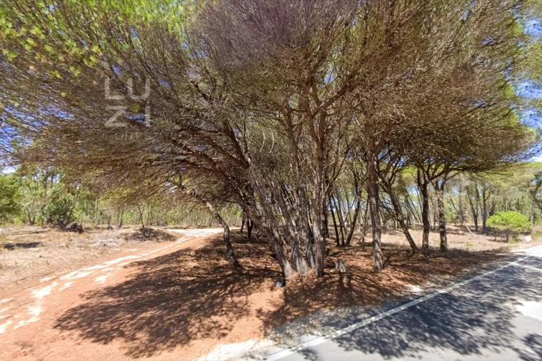 Terreno Agricola ou Rústico para Venda em Vila do Bispo e Raposeira Foto 3