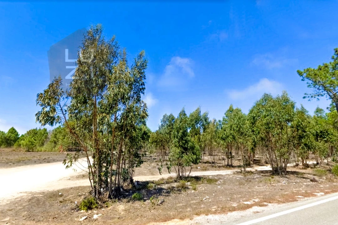 Terreno Agricola ou Rústico para Venda em Vila do Bispo e Raposeira Foto 1