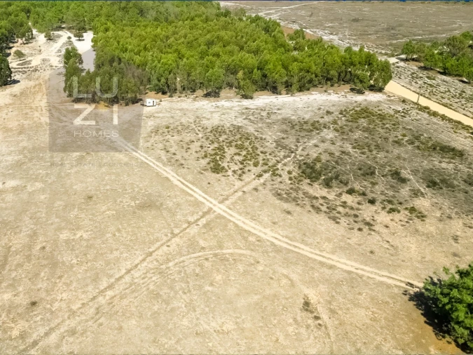 Terreno Agricola ou Rústico para Venda em Vila do Bispo e Raposeira Foto 2
