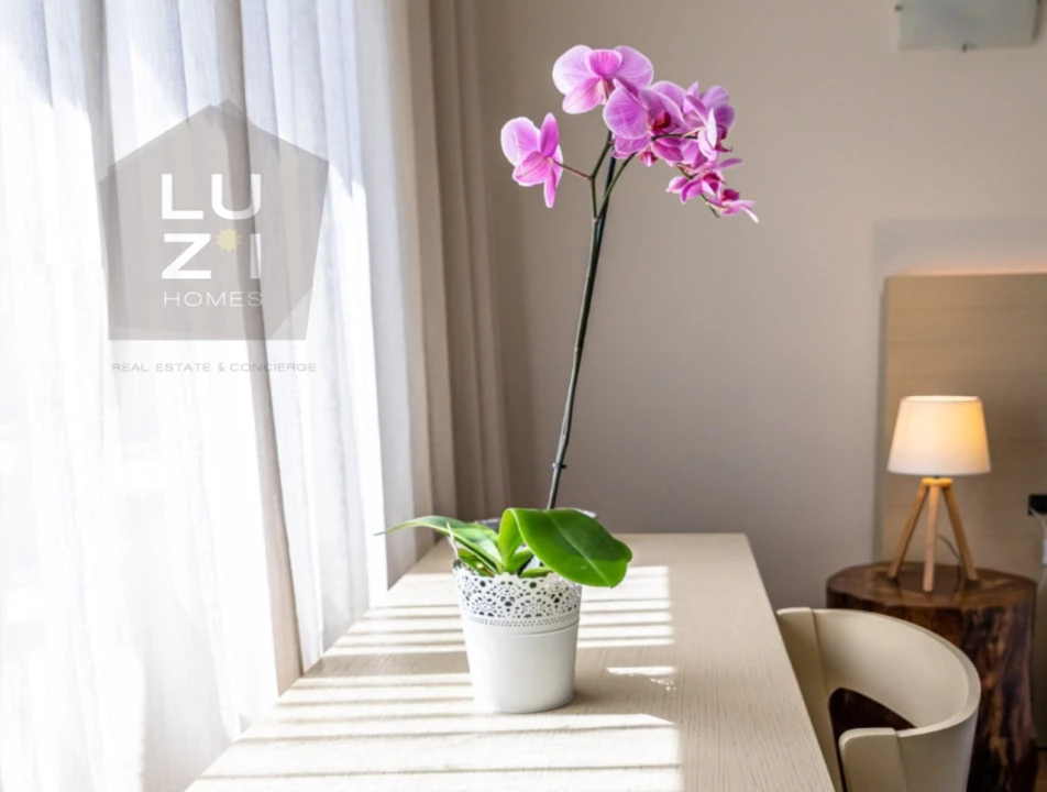 Negócio para Venda em Luz Foto 3