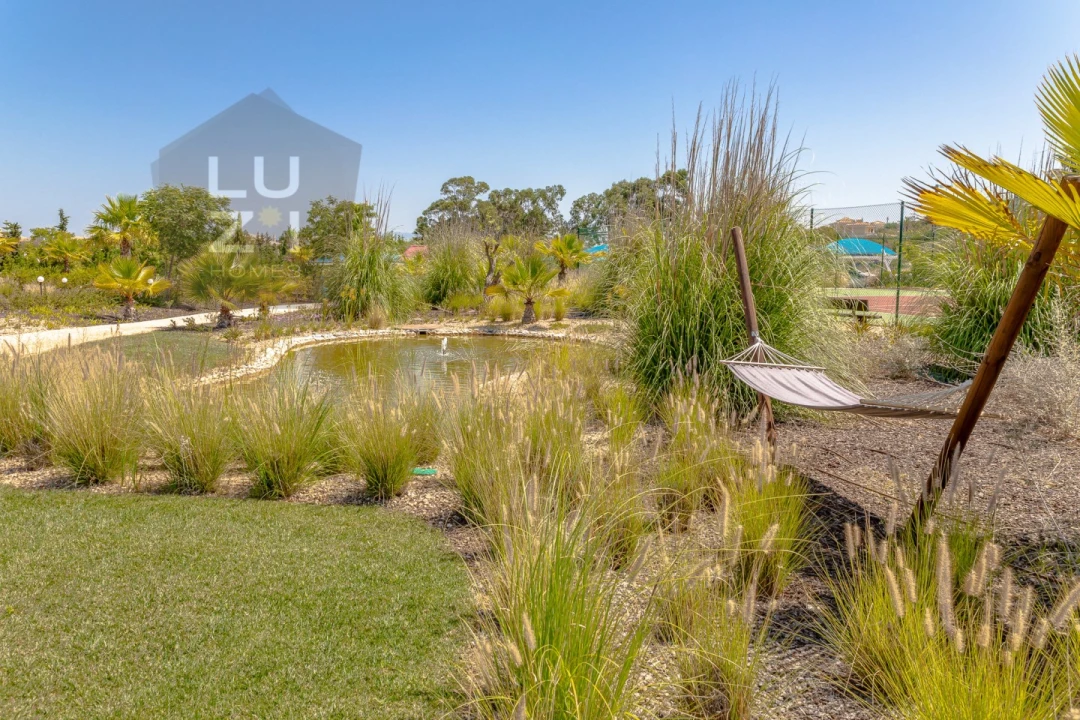 Negócio para Venda em Luz Foto 28