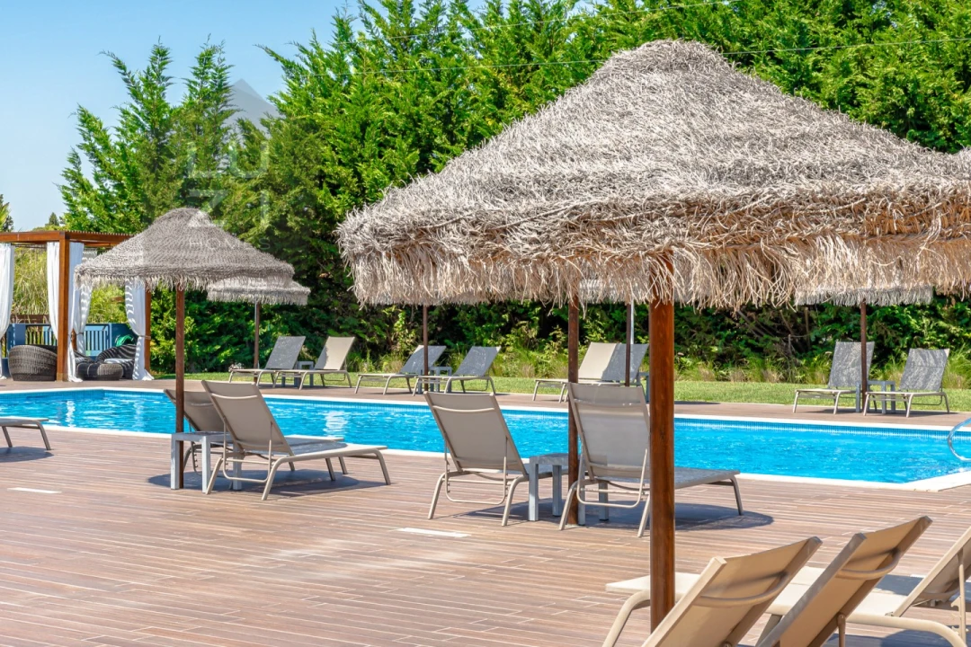 Negócio para Venda em Luz Foto 44