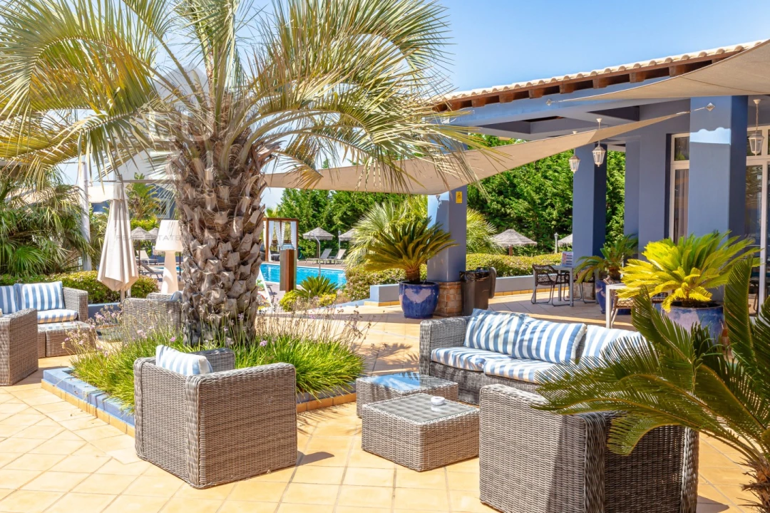 Negócio para Venda em Luz Foto 45