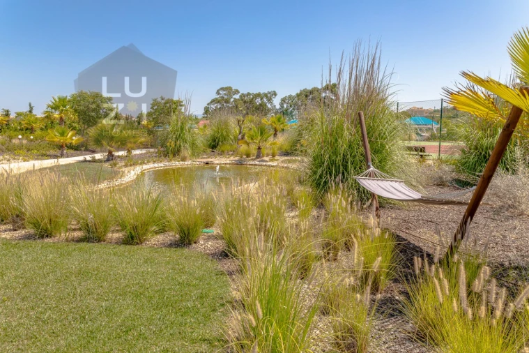 Negócio para Venda em Luz Foto 28