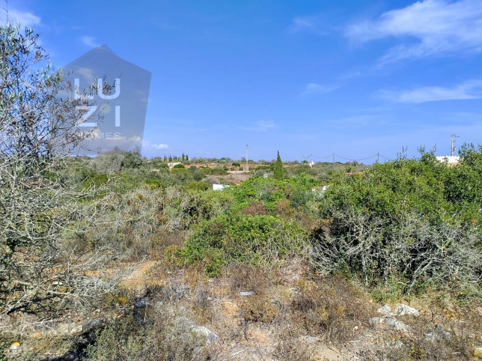 Terreno Agricola ou Rústico para Venda em Luz Foto 5