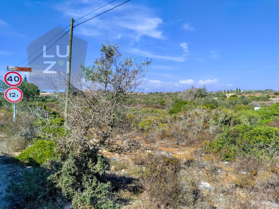 Terreno Agricola ou Rústico para Venda em Luz Foto 6