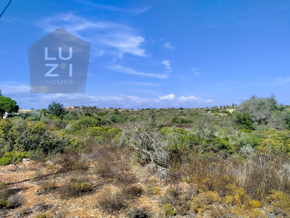 Terreno Agricola ou Rústico para Venda em Luz Foto 13