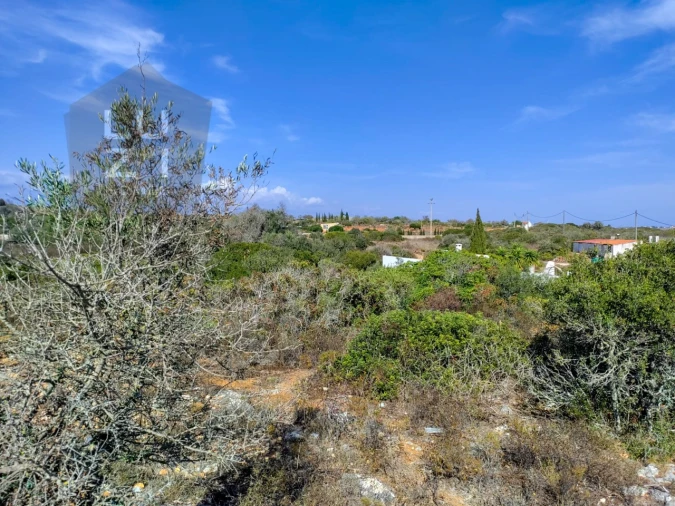 Terreno Agricola ou Rústico para Venda em Luz Foto 14