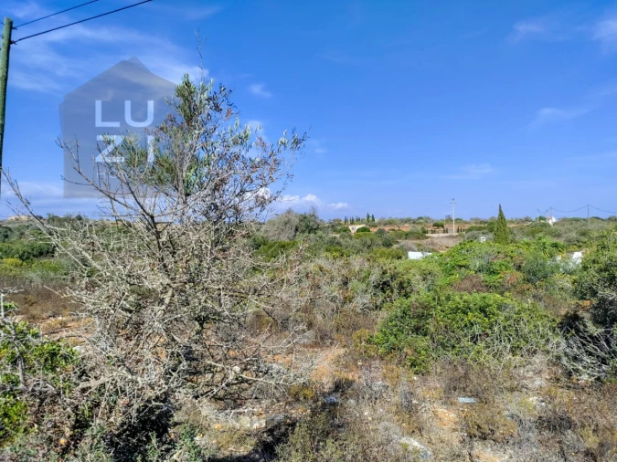 Terreno Agricola ou Rústico para Venda em Luz Foto 15