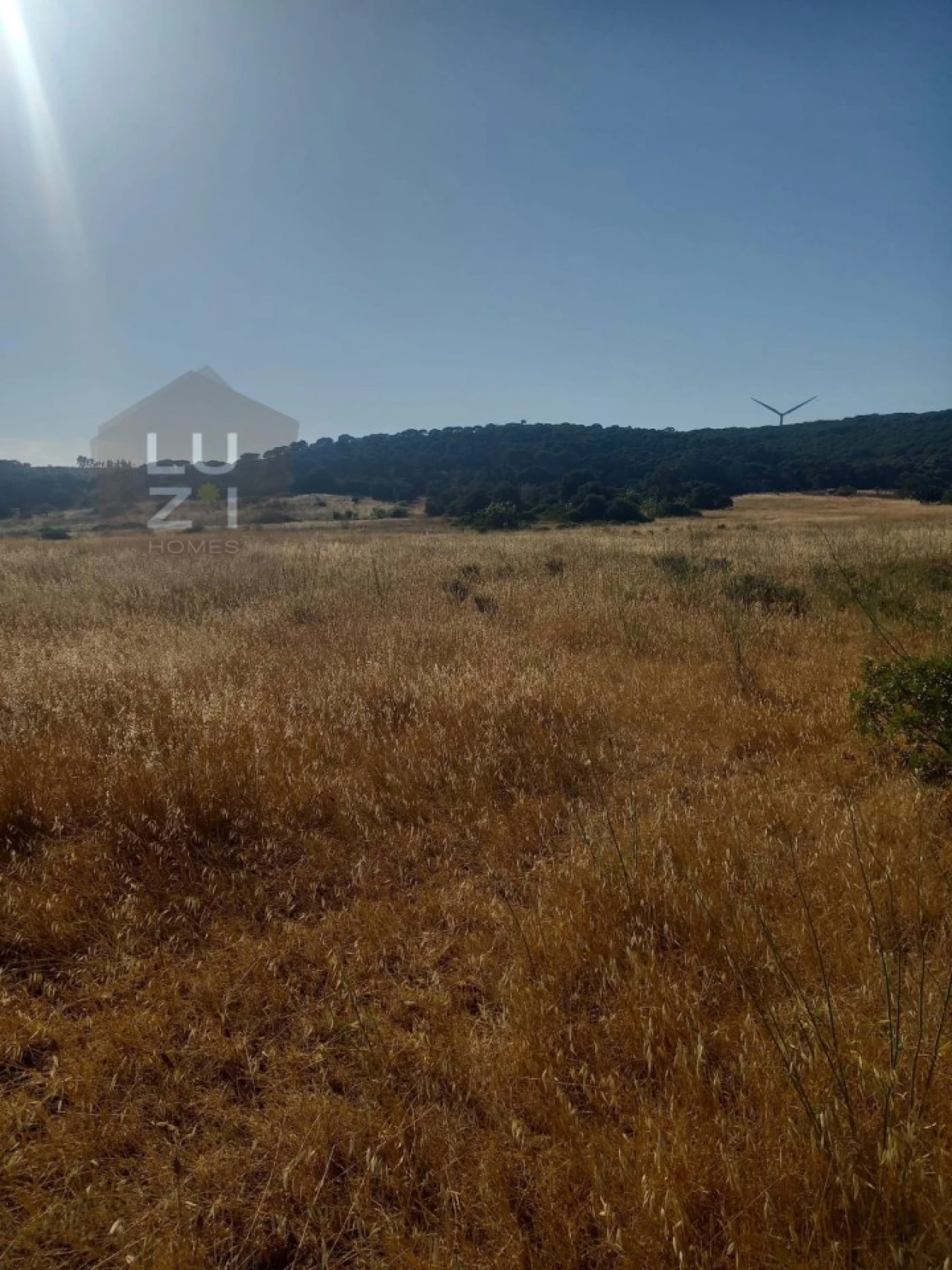 Terreno Agricola ou Rústico para Venda em Bensafrim e Barão de São João Foto 3